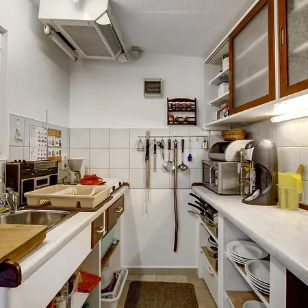 Rudi